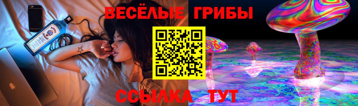 Тавда  Псилоцибиновые грибы ЛСД  Псилоцибиновые грибы Magic Shrooms  наркота  Вход с VPN 